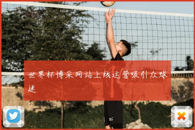 世界杯博采网站上线运营吸引众球迷