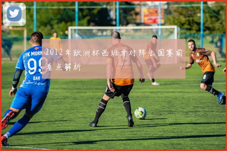 2012年欧洲杯西班牙对阵法国赛前看点解析